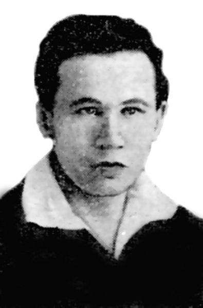 Файл:Содорон.jpg